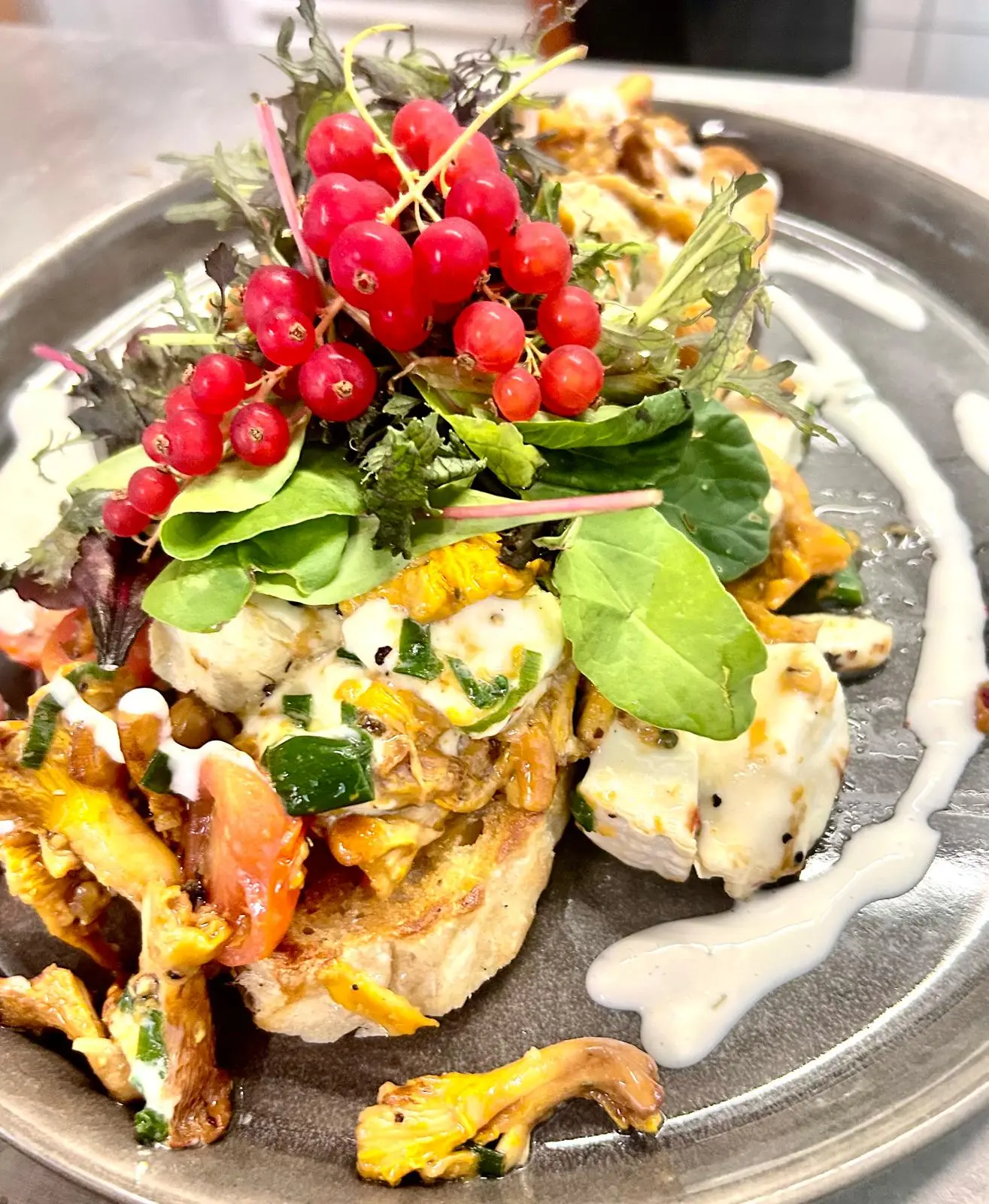 Pfifferlinge auf geröstetem Brot mit Johannisbeeren